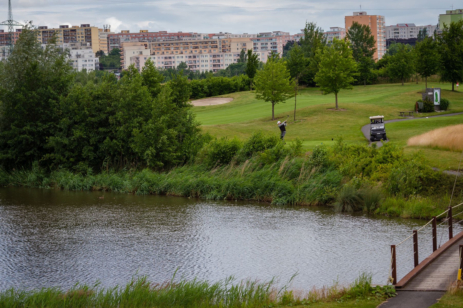 Czech Disabled 2021-D3a